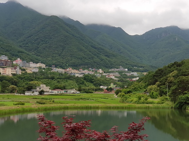 화도읍 맛집 추천! 올리앤, 북한강 돌짜장, 본가부산식당