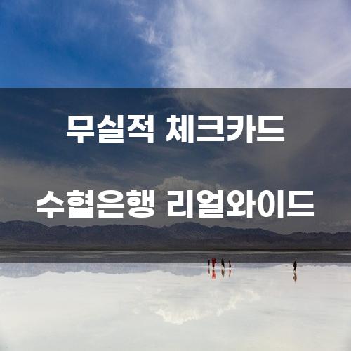 무실적 체크카드 수협은행 리얼와이드