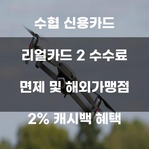 수협 신용카드 리얼카드 2 수수료 면제 및 해외가맹점 2% 캐시백 혜택