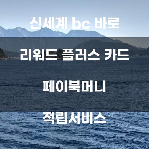 신세계 BC 바로 리워드 플러스 카드와 페이북머니 적립서비스