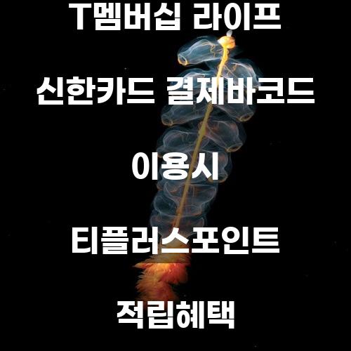 T멤버십 라이프와 신한카드 결제바코드 이용 시 티플러스포인트 적립혜택