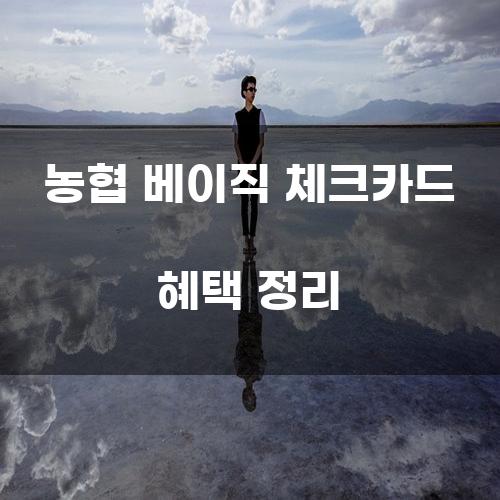 농협 베이직 체크카드 혜택 정리