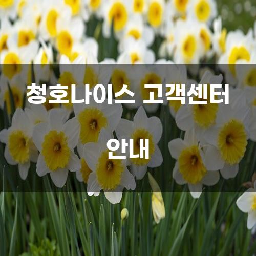 청호나이스 고객센터 안내
