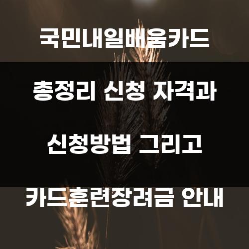 국민내일배움카드 총정리 신청 자격과 신청방법 그리고 카드훈련장려금 안내
