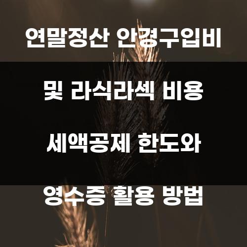 연말정산 안경구입비 및 라식라섹 비용 세액공제 한도와 영수증 활용 방법
