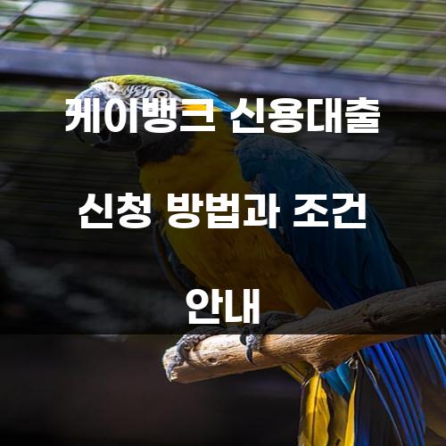 케이뱅크 신용대출 신청 방법과 조건 안내