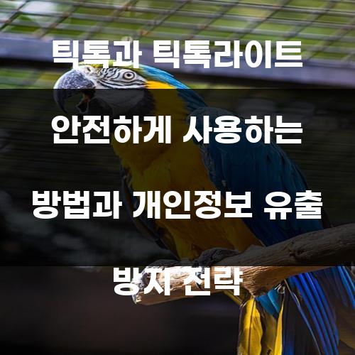 틱톡과 틱톡라이트 안전하게 사용하는 방법과 개인정보 유출 방지 전략