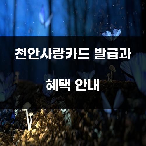 천안사랑카드 발급과 혜택 안내