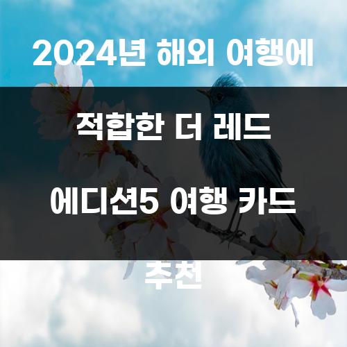 2024년 해외 여행에 적합한 더 레드 에디션5 여행 카드 추천