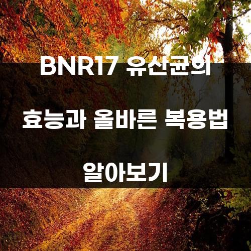 BNR17 유산균의 효능과 올바른 복용법 알아보기