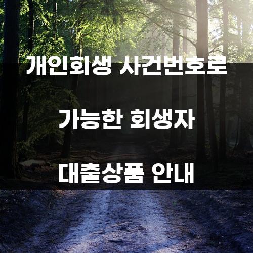 개인회생 사건번호로 가능한 회생자 대출상품 안내
