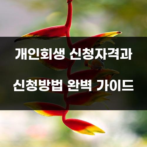 개인회생 신청자격과 신청방법 완벽 가이드