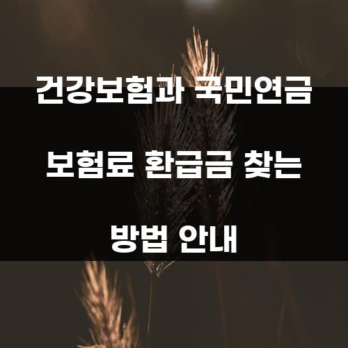 건강보험과 국민연금 보험료 환급금 찾는 방법 안내