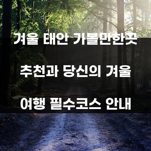 겨울 태안 가볼만한곳 추천과 당신의 겨울 여행 필수코스 안내