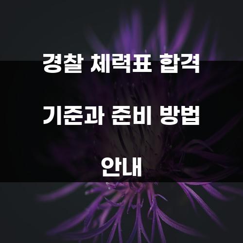 경찰 체력표 합격 기준과 준비 방법 안내