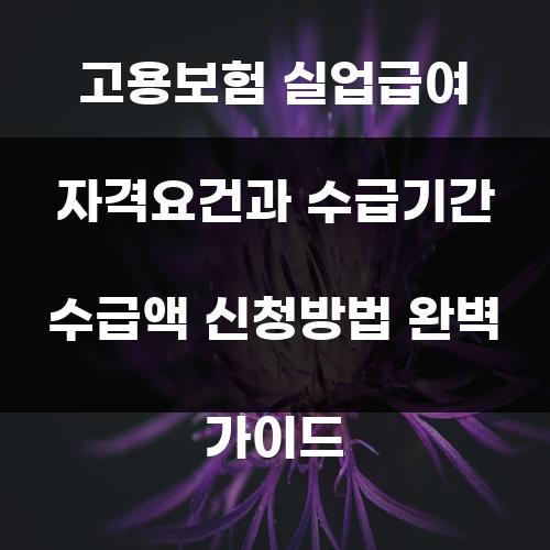 고용보험 실업급여 자격요건과 수급기간 수급액 신청방법 완벽 가이드