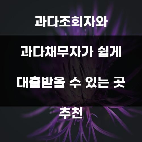 과다조회자와 과다채무자가 쉽게 대출받을 수 있는 곳 추천