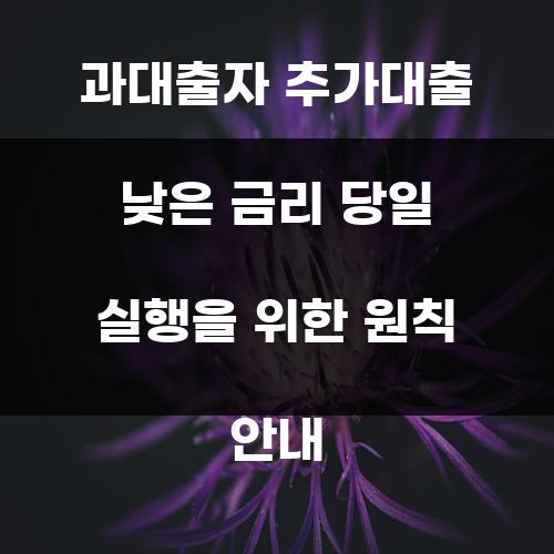 과대출자 추가대출 낮은 금리 당일 실행을 위한 원칙 안내