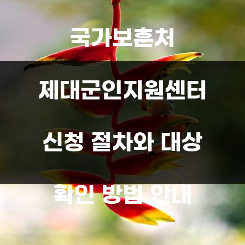 국가보훈처 제대군인지원센터 신청 절차와 대상 확인 방법 안내