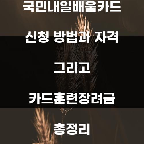 국민내일배움카드 신청 방법과 자격 그리고 카드훈련장려금 총정리