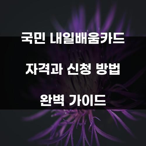 국민 내일배움카드 자격과 신청 방법 완벽 가이드