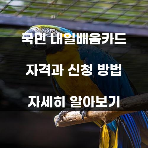 국민 내일배움카드 자격과 신청 방법 자세히 알아보기
