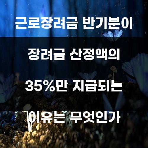 근로장려금 반기분이 장려금 산정액의 35%만 지급되는 이유는 무엇인가