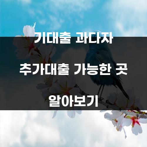 기대출 과다자 추가대출 가능한 곳 알아보기