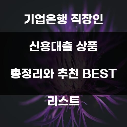 기업은행 직장인 신용대출 상품 총정리와 추천 BEST 리스트