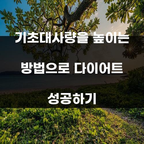 기초대사량을 높이는 방법으로 다이어트 성공하기