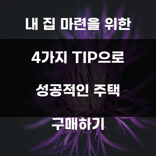 내 집 마련을 위한 4가지 TIP으로 성공적인 주택 구매하기