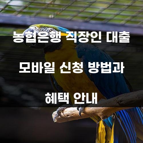 농협은행 직장인 대출 모바일 신청 방법과 혜택 안내
