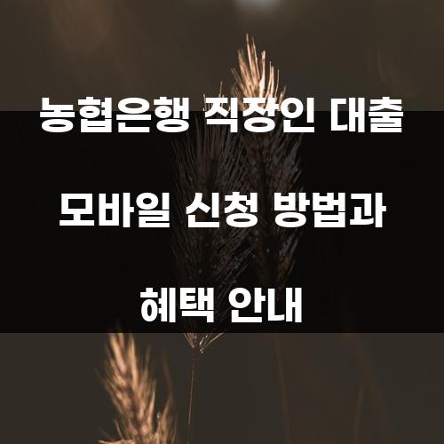 농협은행 직장인 대출 모바일 신청 방법과 혜택 안내
