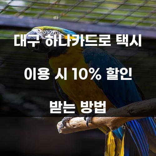 대구 하나카드로 택시 이용 시 10% 할인 받는 방법