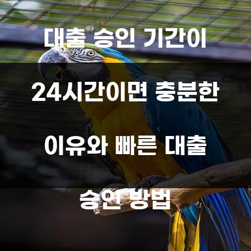 대출 승인 기간이 24시간이면 충분한 이유와 빠른 대출 승인 방법