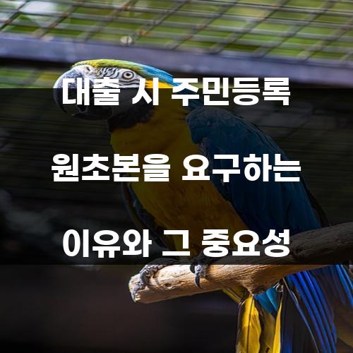 대출 시 주민등록 원초본을 요구하는 이유와 그 중요성