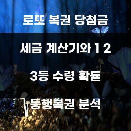로또 복권 당첨금 세금 계산기와 1 2 3등 수령 확률 동행복권 분석