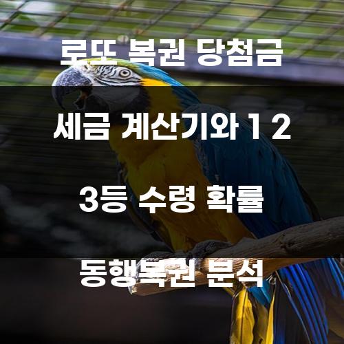 로또 복권 당첨금 세금 계산기와 1 2 3등 수령 확률 동행복권 분석