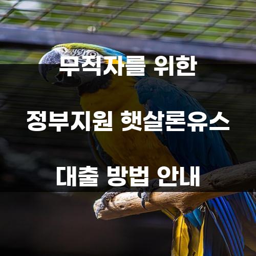 무직자를 위한 정부지원 햇살론유스 대출 방법 안내