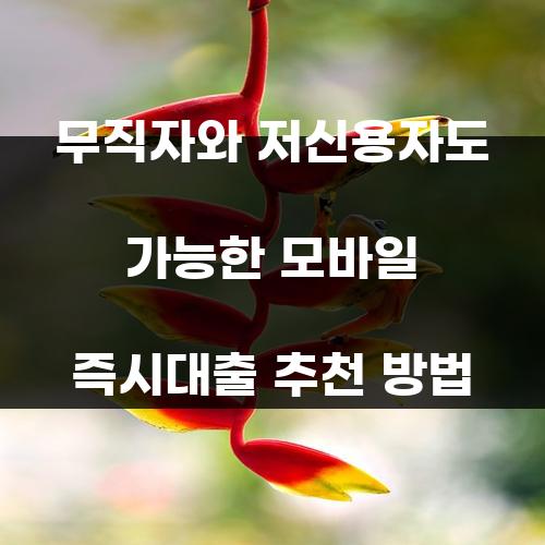 무직자와 저신용자도 가능한 모바일 즉시대출 추천 방법