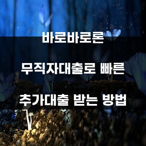바로바로론 무직자대출로 빠른 추가대출 받는 방법