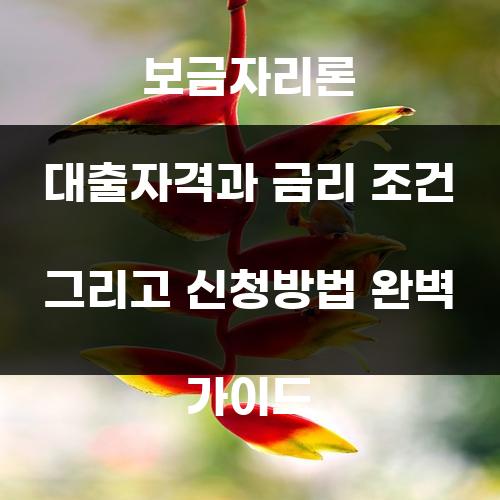 보금자리론 대출자격과 금리 조건 그리고 신청방법 완벽 가이드