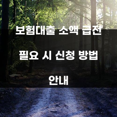 보험대출 소액 급전 필요 시 신청 방법 안내