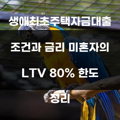 생애최초주택자금대출 조건과 금리 미혼자의 LTV 80% 한도 정리