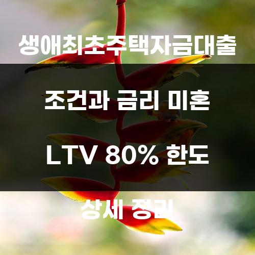 생애최초주택자금대출 조건과 금리 미혼 LTV 80% 한도 상세 정리