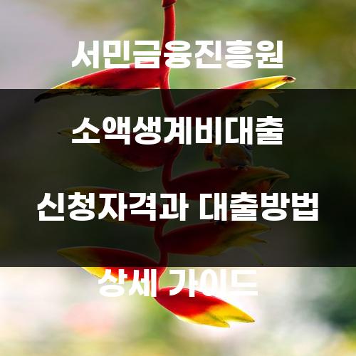 서민금융진흥원 소액생계비대출 신청자격과 대출방법 상세 가이드
