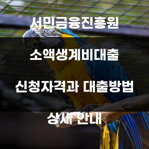 서민금융진흥원 소액생계비대출 신청자격과 대출방법 상세 안내
