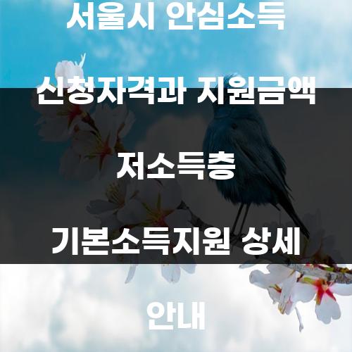 서울시 안심소득 신청자격과 지원금액 저소득층 기본소득지원 상세 안내