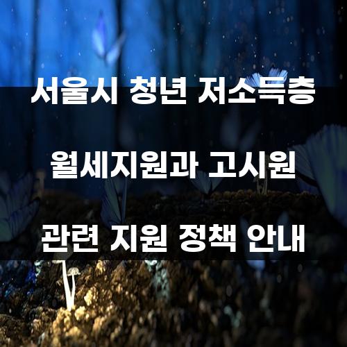 서울시 청년 저소득층 월세지원과 고시원 관련 지원 정책 안내