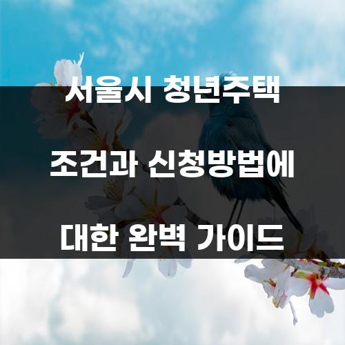 서울시 청년주택 조건과 신청방법에 대한 완벽 가이드